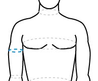 Обхват бицепса