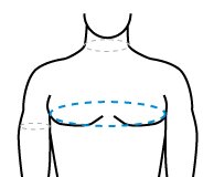 Обхват груди