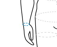 Обхват запястья