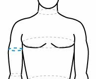 Обхват бицепса