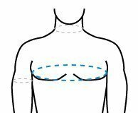 Обхват груди