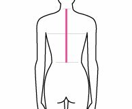 Длина спины до талии
